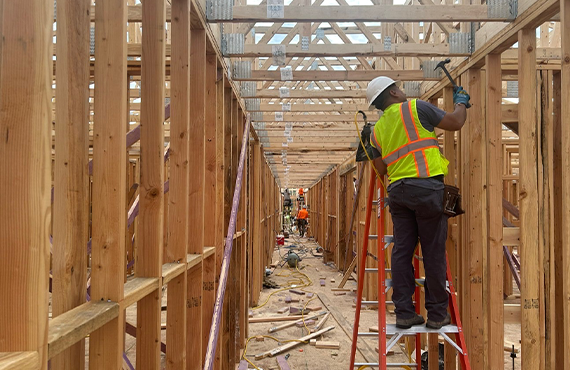 Framing Project